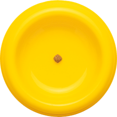 Pet Food Bowl